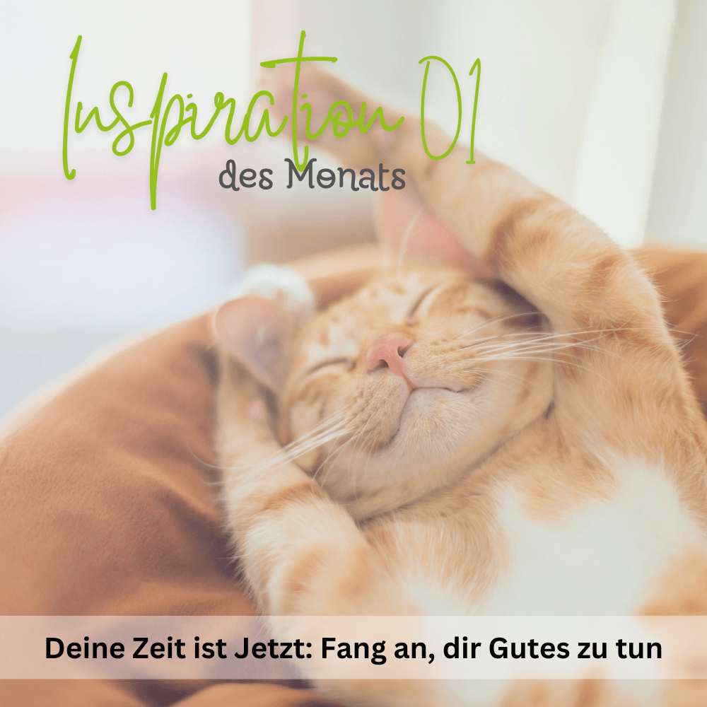 Inspiration des Monats 01.2025: Selbstfürsorge ist jetzt - Dein Leben, dein Moment