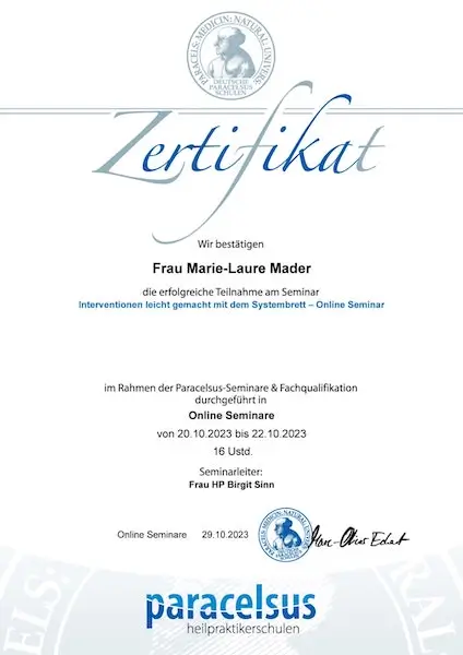Zertifikat Paracelsus Heilpraktikerschulen: Interventionen leicht gemacht mit dem Systembrett - Online Seminar
