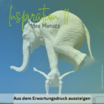 Inspiration des Monats 11: Erwartungsdruck loslassen.